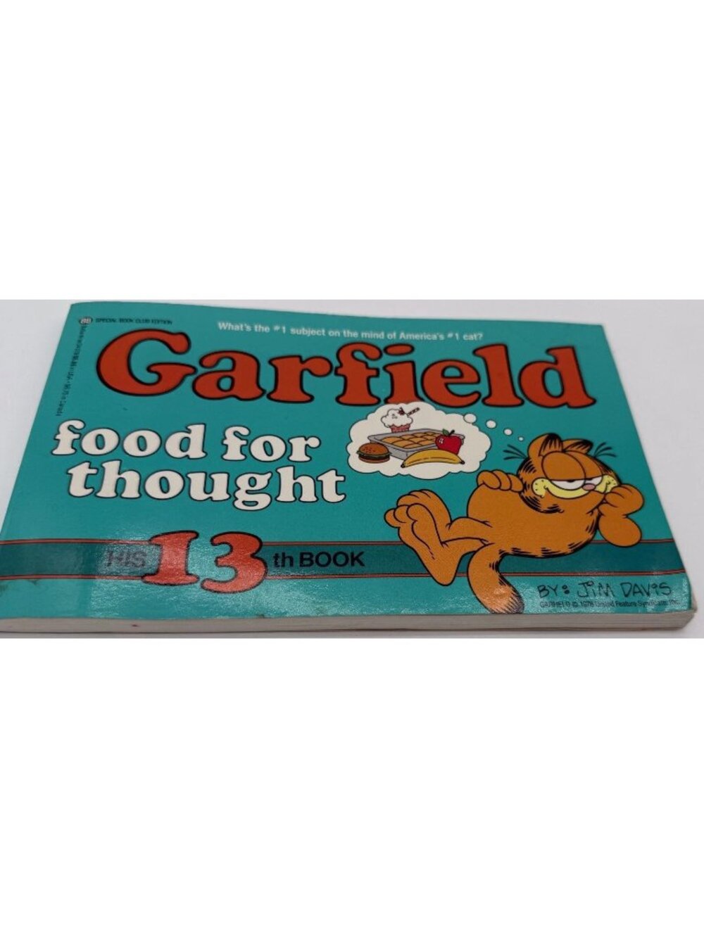 Vintage Garfield Food for Thought: His 13th Book by Jim Davis
